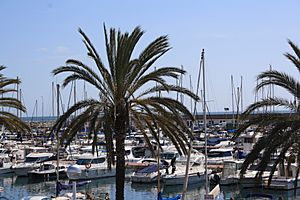 Archivo:Port del Masnou