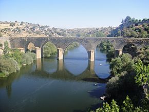 Archivo:Puente Viejo de Ledesma--2