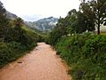Río Grande de Jayuya 02