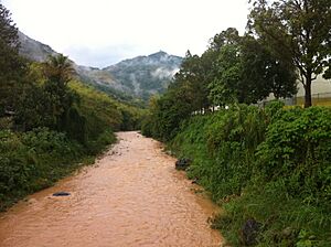 Archivo:Río Grande de Jayuya 02