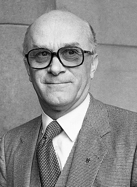 Raif Dizdarević (političar) (cropped)