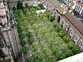 SevillaPatioDeLosNaranjos