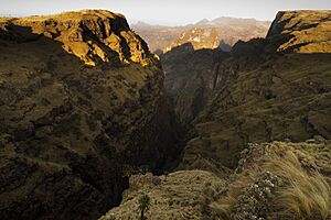 Archivo:Simien mountains 2