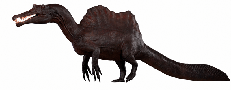 Spinosaurus Model (3)