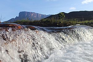 Archivo:Tepuy Kukenan rio Tek Canaima - Venezuela
