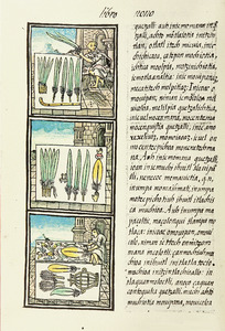 The Florentine Codex- Feather Painters III