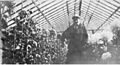 Theodore Roethke in the family greenhouse, Saginaw, Michigan, ca 1920 (PORTRAITS 689)