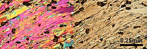 Archivo:Thin section microscopy Siilinjärvi H2 mica-rutile