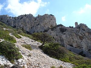Archivo:Tiscali