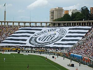 Archivo:Torcida Jovem RQI