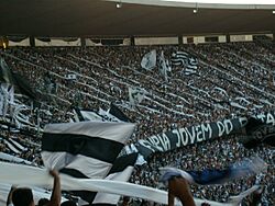 Archivo:Torcida do Botafogo (Final Taça GB09) 03