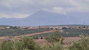 Vista de Torreblascopedro