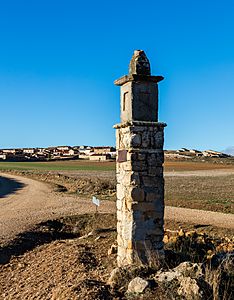 Torrubia, Guadalajara, España, 2016-01-05, DD 11