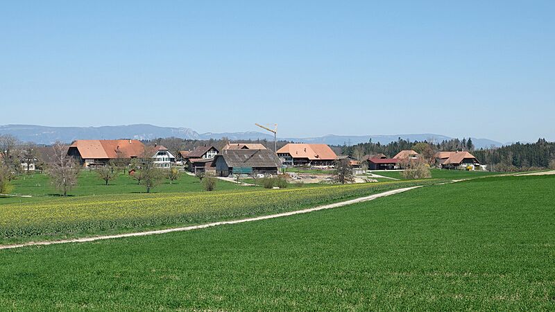 Village view Ballmoos