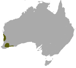 Mapa de distribución de Sminthopsis granulipes