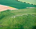 White horse from air