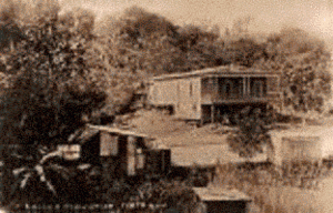 Archivo:Yauco Coffee Plantation
