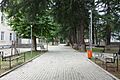 2015-08-29 (83) Oni