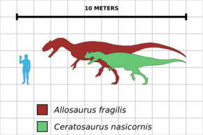 Archivo:Allosaurus-Ceratosaurus comparison chart
