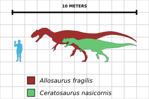 Archivo:Allosaurus-Ceratosaurus comparison chart