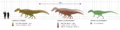 Allosaurus size comparison