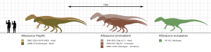 Archivo:Allosaurus size comparison