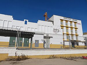 Archivo:Arrocera de L'Aldea