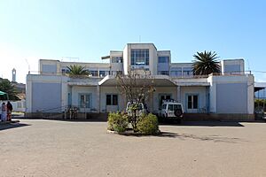Archivo:Asmara, ospedale orotta 01