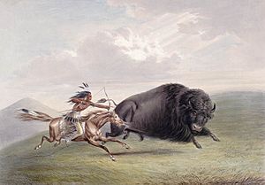 Archivo:Buffalo Hunt