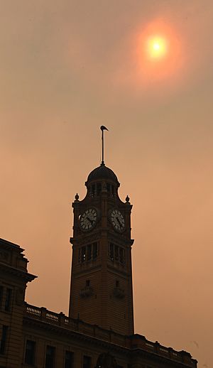 Archivo:Bushfire smoke Sydney 001