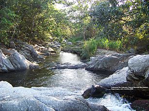 Archivo:Cabeceras rio Cabriales, Cubillos Julio 2009