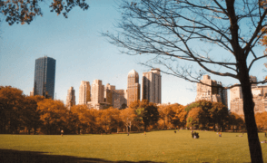 Central Park, November 2001