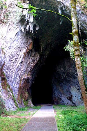 Archivo:Cueva de Cullalvera