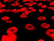 Archivo:DHM image of human red blood cells