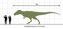 Archivo:Daspletosaurus-Scale-Diagram