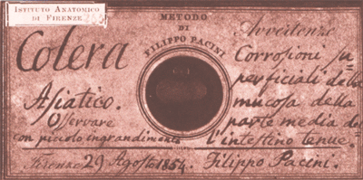 Archivo:Filippo pacini cholera discovery