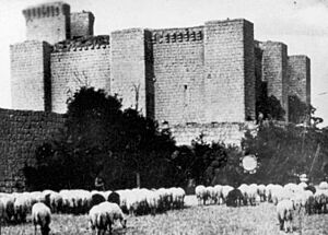 Archivo:Fundación Joaquín Díaz - Castillo - Villalba de los Alcores (Valladolid) (4)