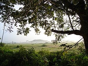 Archivo:Goa, India 43 Trees by the fields