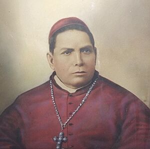 Archivo:Hipólito Vera y Talonia (cropped)
