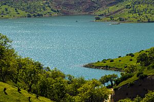 Archivo:Kurdistan - Duhok - Iraq (23)