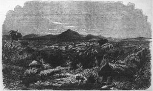 Archivo:LeonNicaragua1856Leslies