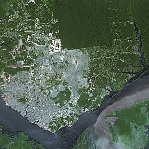 Archivo:Manaus SPOT 1232