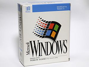 Archivo:Microsoft Windows 3.1 Jpn box