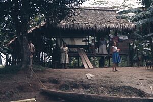 Archivo:Mosquito Indians