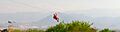 Northeastern Mexican Zip Line