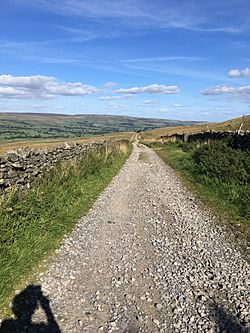 Archivo:Old roman road, now bridle path, towards Bainbridge, Yorkshire