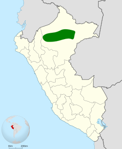 Distribución geográfica del hormiguero de Allpahuayo.