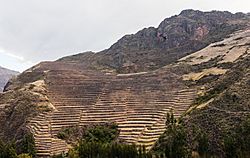 Archivo:Pisac, Cuzco, Perú, 2015-07-31, DD 99