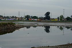 Presa Las Pintas.jpg