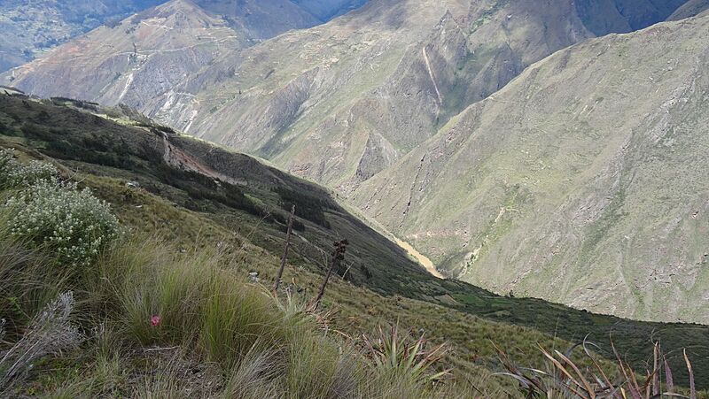 Río Marañón 05974